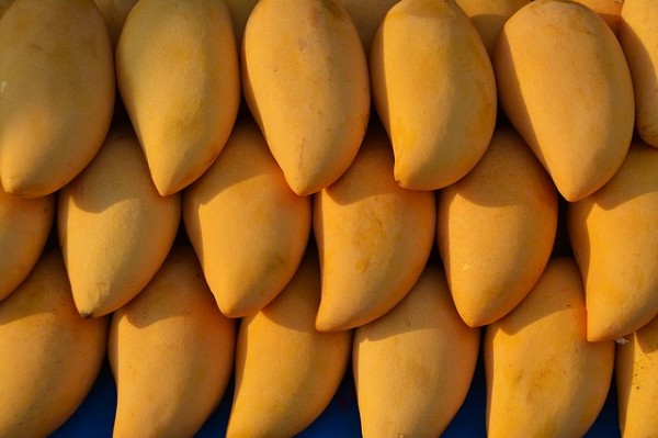 mangoes-1320111_640